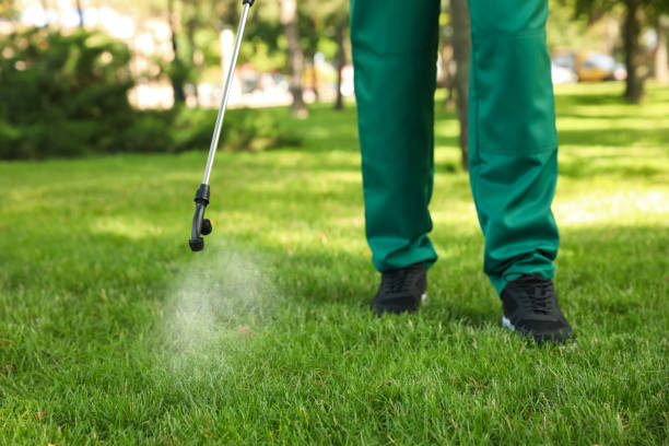 Best Mosquito Control Services  in Marietta, GA