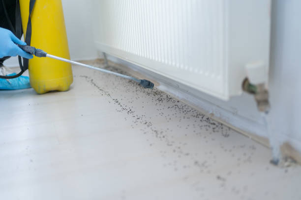 Best Termite Control Services  in Marietta, GA