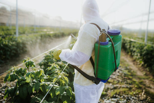 Best Pest Prevention Services  in Marietta, GA